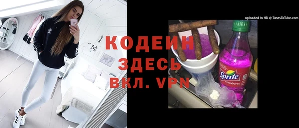 СК Няндома