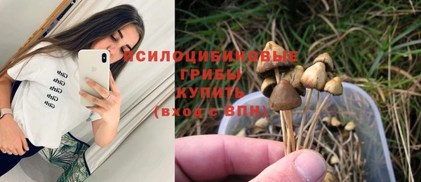 герыч Нязепетровск