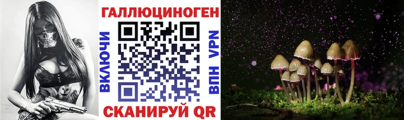 Купить  Жигулёвск  Галлюциногенные грибы мицелий 